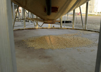 A pile of barley sits beneath a silo at a grain facility in Balliang, Victoria, Australia, on May 18, 2020. Photo: VCG