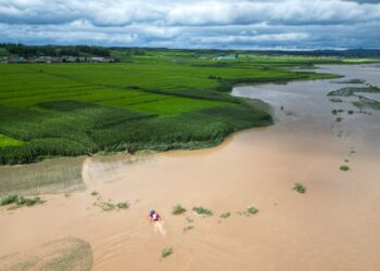 This aerial photo taken on Aug. 5, 2023 shows rescuers carrying out search and rescue operations in a flood-affected area in Qili Township, Shulan City, northeast China's Jilin Province. (Xinhua/Yan Linyun)