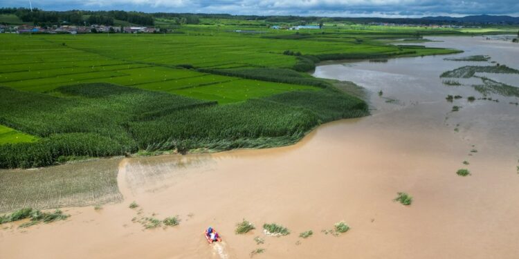 This aerial photo taken on Aug. 5, 2023 shows rescuers carrying out search and rescue operations in a flood-affected area in Qili Township, Shulan City, northeast China's Jilin Province. (Xinhua/Yan Linyun)
