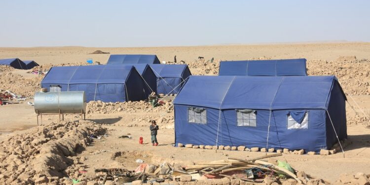 This photo taken on Oct. 16, 2023 shows China-donated tents in Herat Province, Afghanistan. (Photo by Saifurahman Safi/Xinhua)