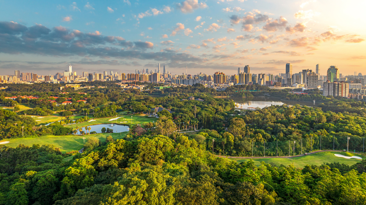 The scenery in Guangzhou, China. /VCG