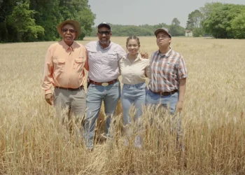 From left, Philip (Ricky) Haynie II, 69, PJ Haynie, 45, Colette Haynie, 21 and Philip Haynie IV, 19.