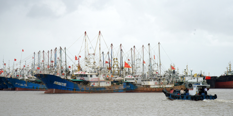 Ships return to ports in Taizhou City, east China's Zhejiang Province, October 6, 2023. /CFP