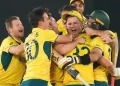 Australia players celebrate after winning the Cricket World Cup final.