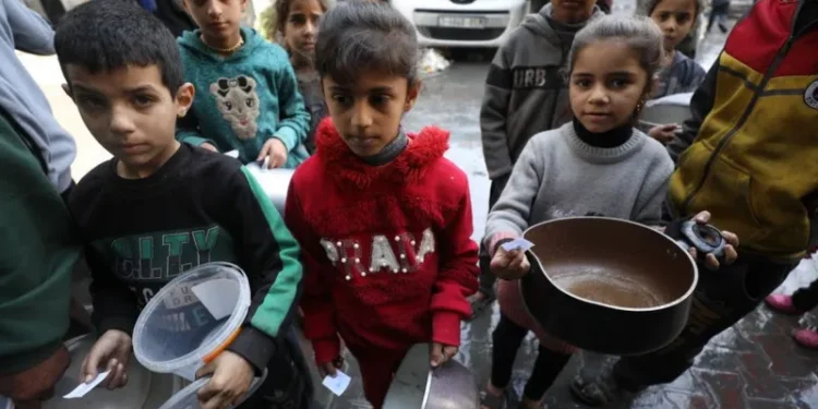Children with empty pots wait as aid workers distribute food in Gaza City earlier this month