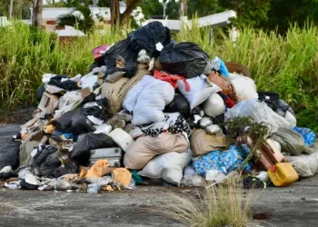 Narcotics seized by CANU and the Guyana Police Force to be destroyed