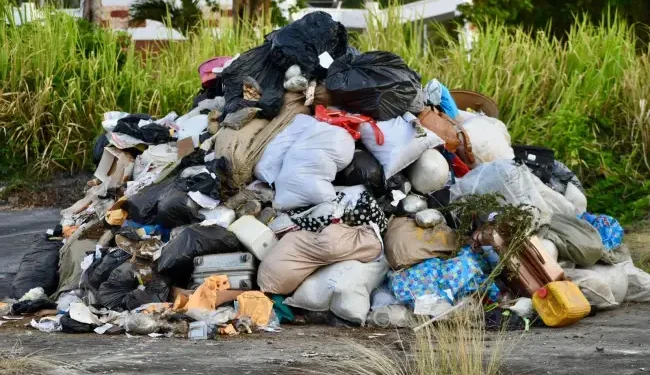 Narcotics seized by CANU and the Guyana Police Force to be destroyed