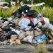 Narcotics seized by CANU and the Guyana Police Force to be destroyed