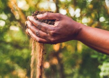 Photo: iStock