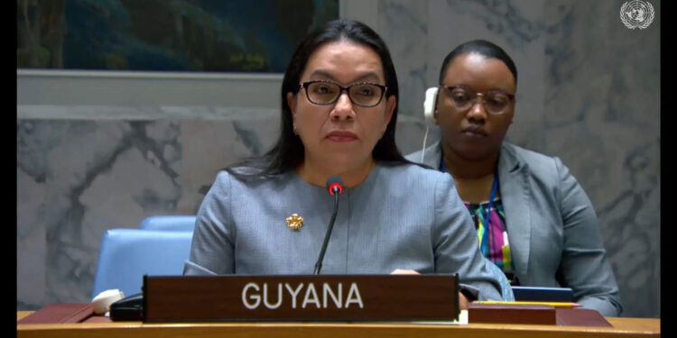 Guyana's Permanent Representative to the UN, Ambassador Carolyn Rodrigues-Birkett