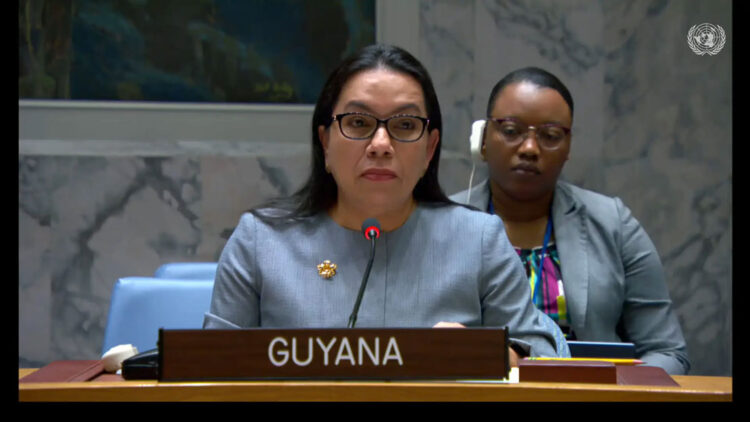 Guyana's Permanent Representative to the UN, Ambassador Carolyn Rodrigues-Birkett