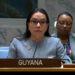 Guyana's Permanent Representative to the UN, Ambassador Carolyn Rodrigues-Birkett
