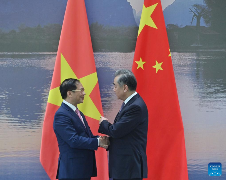 Chinese Foreign Minister Wang Yi, also a member of the Political Bureau of the Communist Party of China Central Committee, meets with Vietnamese Foreign Minister Bui Thanh Son in south China's Guangxi Zhuang Autonomous Region, April 4, 2024. (Xinhua/Huang Xiaobang)