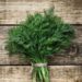 Dill (google photo)