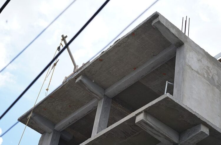 Guyana Chronicle Photo