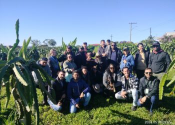 FAO Guyana Dragron fruit farm