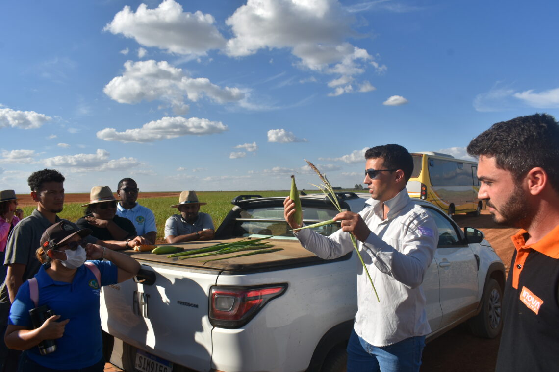 Visit to the corn field Copyright FAO Guyana