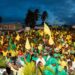 Alliance for Change and A Partnership for National Unity 2015 Elections Rally photo (AFC Facebook photo)
