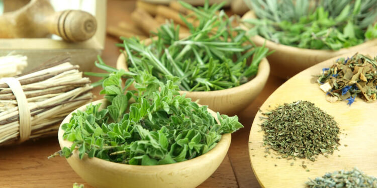 Euphoric Herbal Photo