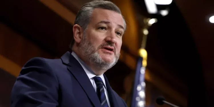 Sen. Ted Cruz on February 6, 2024, in Washington, DC. Cruz told Newsweek that the Biden administration should look to negatively impact Venezuelan President Nicolas Maduro to help deter migrant flows from the country into the United States. Less Anna Moneymaker/Getty Images