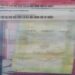 Loop News photo