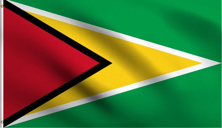 The Golden Arrowhead- Guyana's National Flag