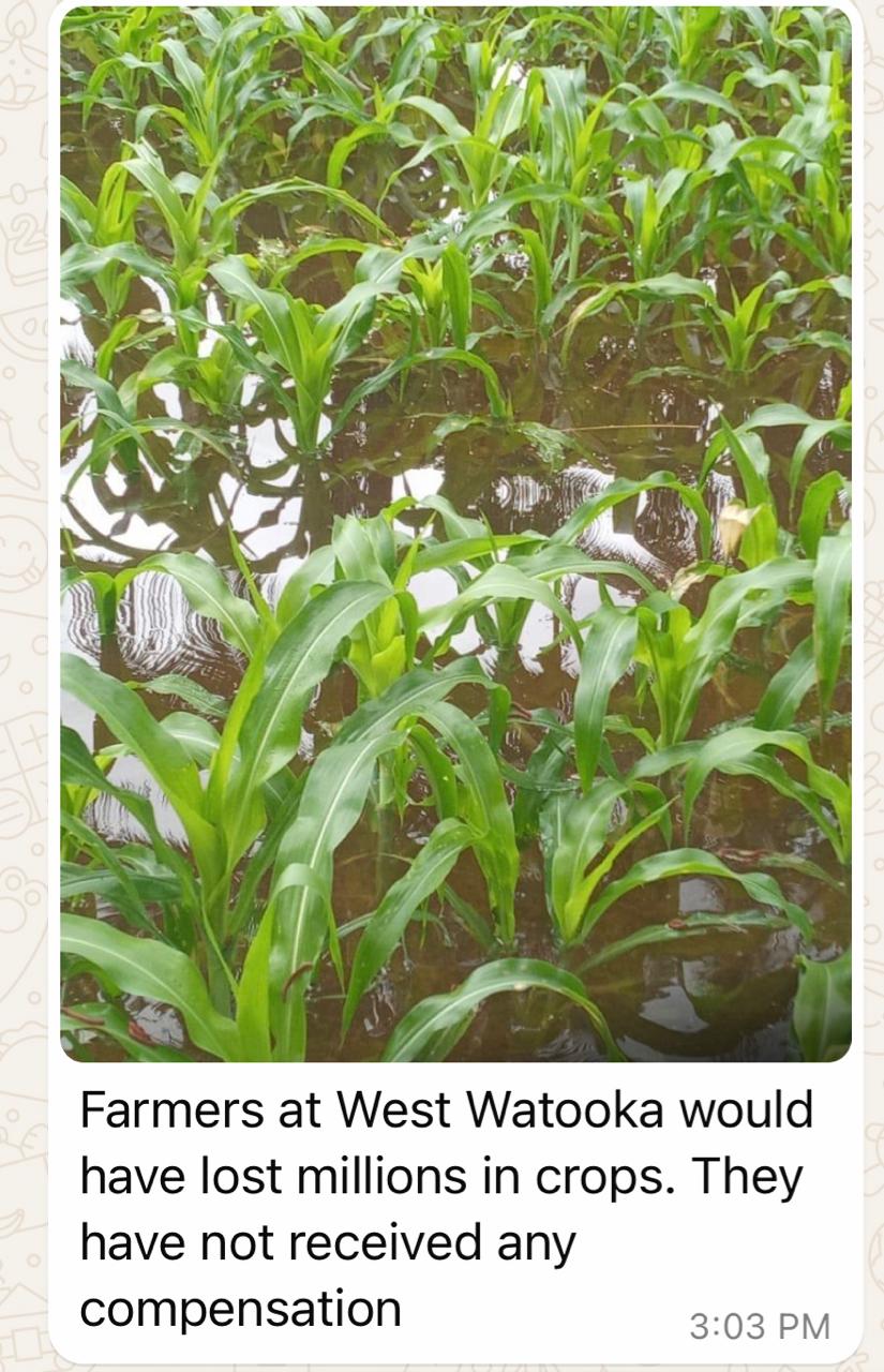 Region 10 agriculture