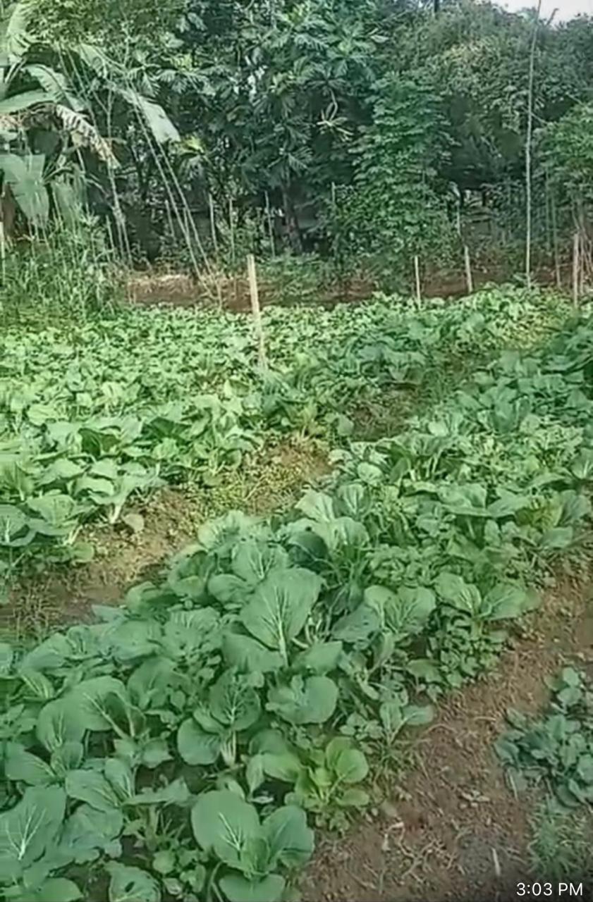 Agriculture in Region 10