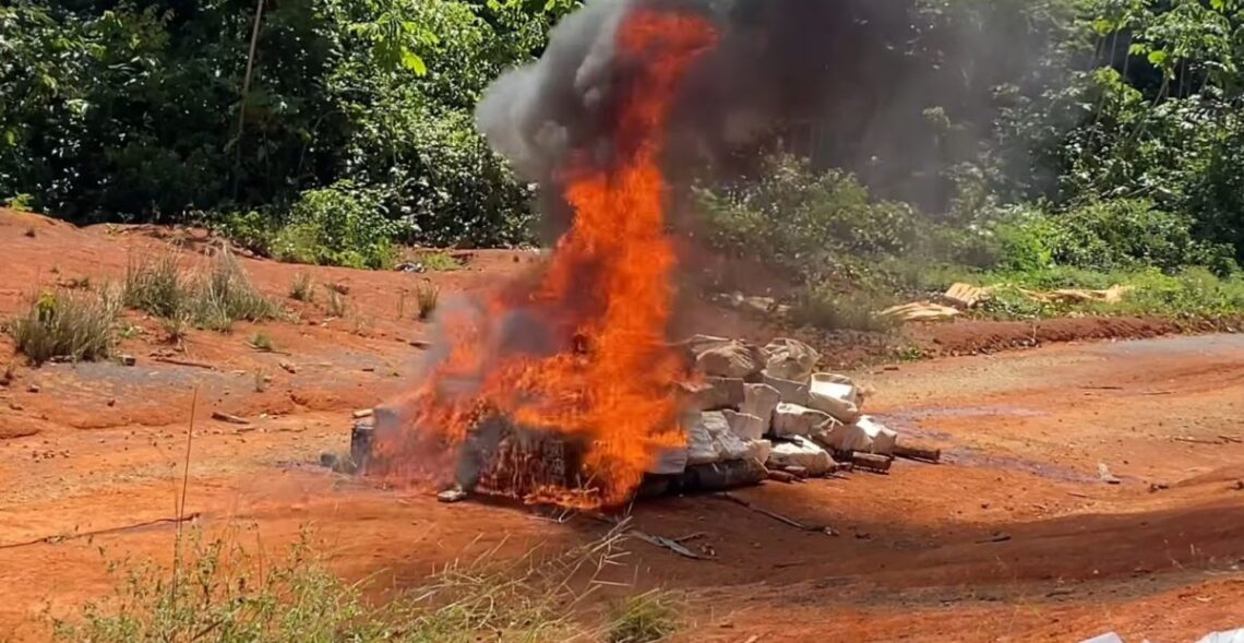 The drugs being destroyed. (SN photo)