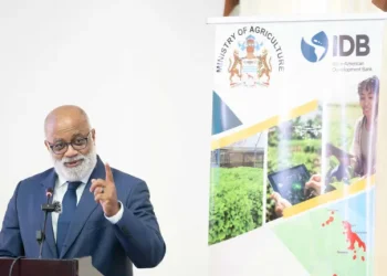 General Manager of the Country Department of the Caribbean at the IDB, Anton Edmunds