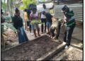 Professor Patsy Francis (first from left) stands with a project recipient during the transplanting of seedlings