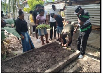 Professor Patsy Francis (first from left) stands with a project recipient during the transplanting of seedlings