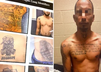 These images from a Customs and Border Protection intelligence bulletin show tattoos and identifiers for Tren De Aragua. (ICE)