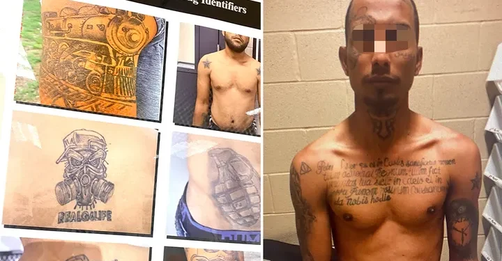 These images from a Customs and Border Protection intelligence bulletin show tattoos and identifiers for Tren De Aragua. (ICE)