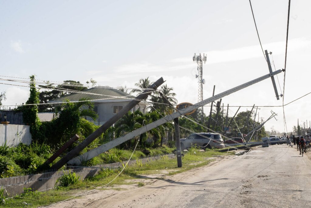 The electricity poles that toppled in North and South Ruimveldt areas on December 12-13, 2024