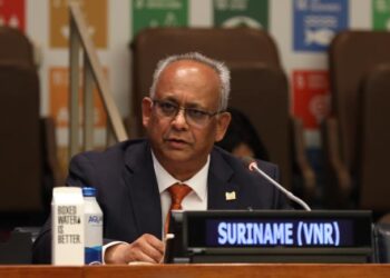 Albert Ramdin, Suriname Minister of Foreign Affairs, International