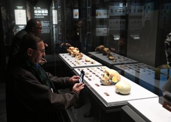 International experts take photos of the exhibiting skull fossil, during an academic conference held in Dongzhi County, east China's Anhui Province, December 6, 2024. /CFP