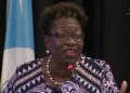Paula Llewellyn - Director of Public Prosecutions (DPP).
