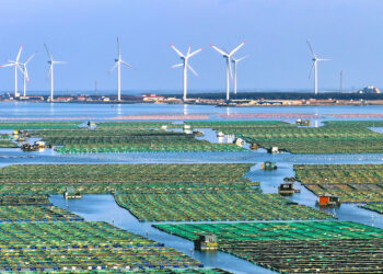 Wind power turbines stand tall amidst a marine green ecological farming zone, Weihai City, eastern China's Shandong Province, January 11, 2025. /CFP