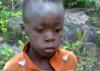 The young boy survived by eating wild fruit