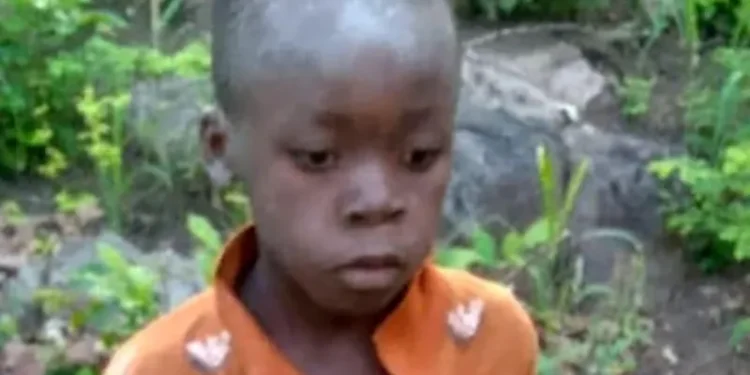 The young boy survived by eating wild fruit
