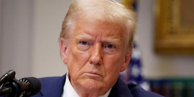 President Donald Trump Andrew Harnik/Getty Images