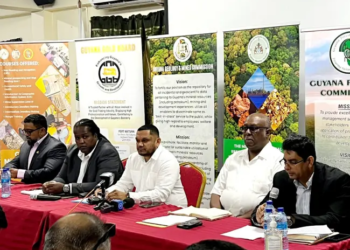 The Ministry of Natural Resources’ Year-end press conference