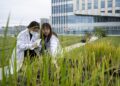 Researchers work at "Nanfan Silicon Valley" in south China's Hainan Province, February 23, 2022. /VCG