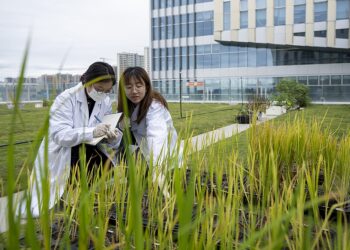 Researchers work at "Nanfan Silicon Valley" in south China's Hainan Province, February 23, 2022. /VCG