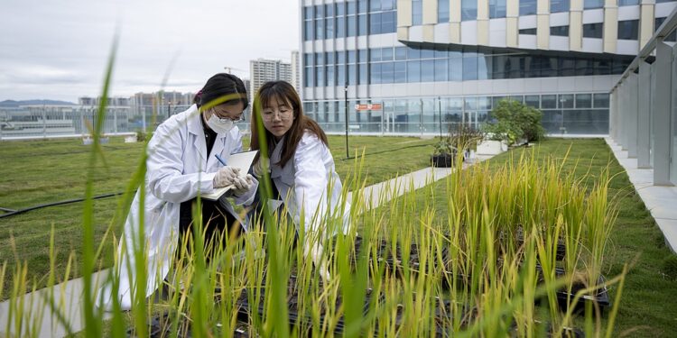 Researchers work at "Nanfan Silicon Valley" in south China's Hainan Province, February 23, 2022. /VCG