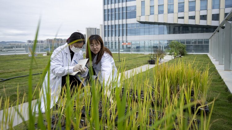 Researchers work at "Nanfan Silicon Valley" in south China's Hainan Province, February 23, 2022. /VCG
