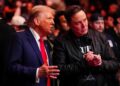 US President Donald Trump and businessman Elon Musk