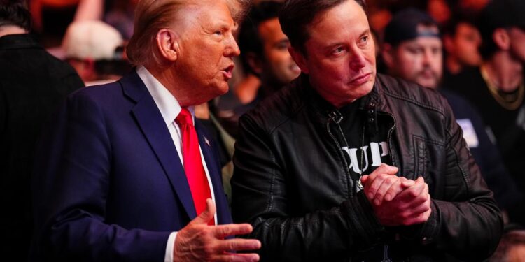 US President Donald Trump and businessman Elon Musk