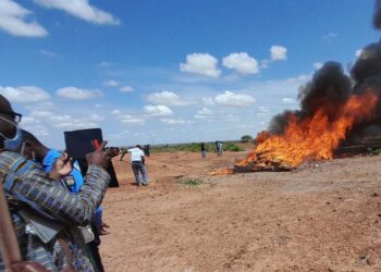 © UNODC Authorities incinerate illicit drugs seized in Niamey, Niger.